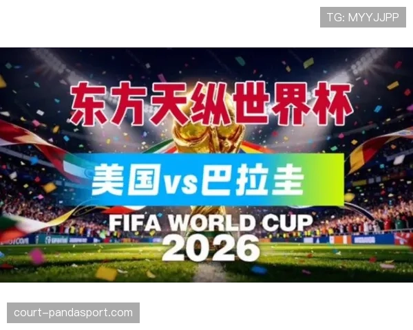 世界杯巴拉圭队D组夺冠前景分析